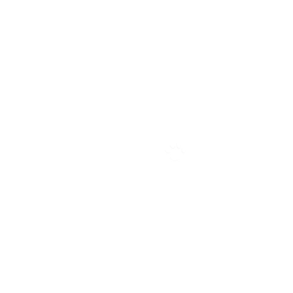 pet store (2)